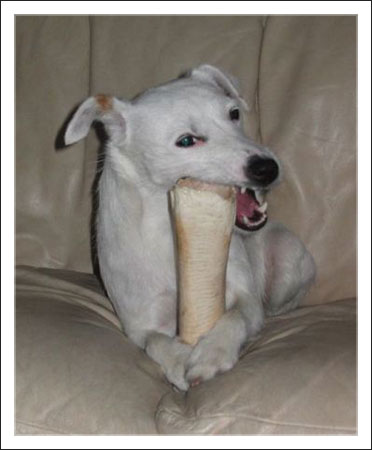 kuva06.jpg